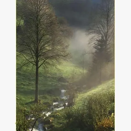 Διαμέρισμα Haldenschwarzhof *