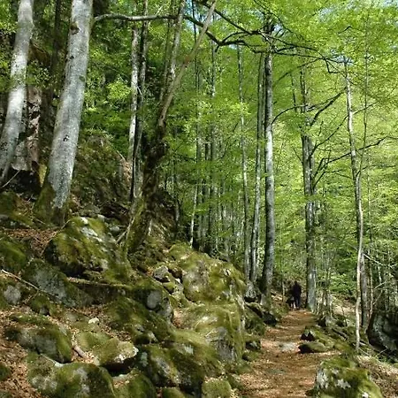 Lejlighed Haldenschwarzhof Simonswald