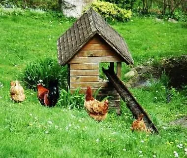 Haldenschwarzhof Lejlighed *