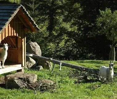 Haldenschwarzhof Διαμέρισμα Simonswald