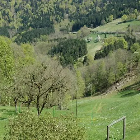 Lejlighed Haldenschwarzhof Simonswald