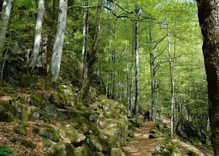 Appartamento Haldenschwarzhof Simonswald